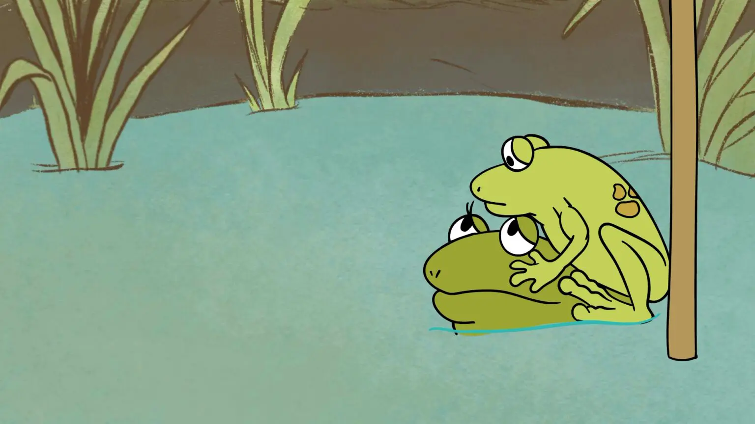 two frogs together in pond